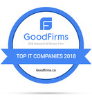GoodFirms' Latest Research Reveals Top IT Companies in B2B Outsourcing Domain Across the Globe