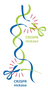 圖片：配對CRISPR切口酶方法建基於默克CRISPR專利組合（包括CRISPR整合）的其它技術。商業機構如果想要糾正基因治療病人體細胞的遺傳缺陷，則需要默克基於CRISPR的DNA植入的知識產權。默克將為所有領域提供這個專利組合授權。
