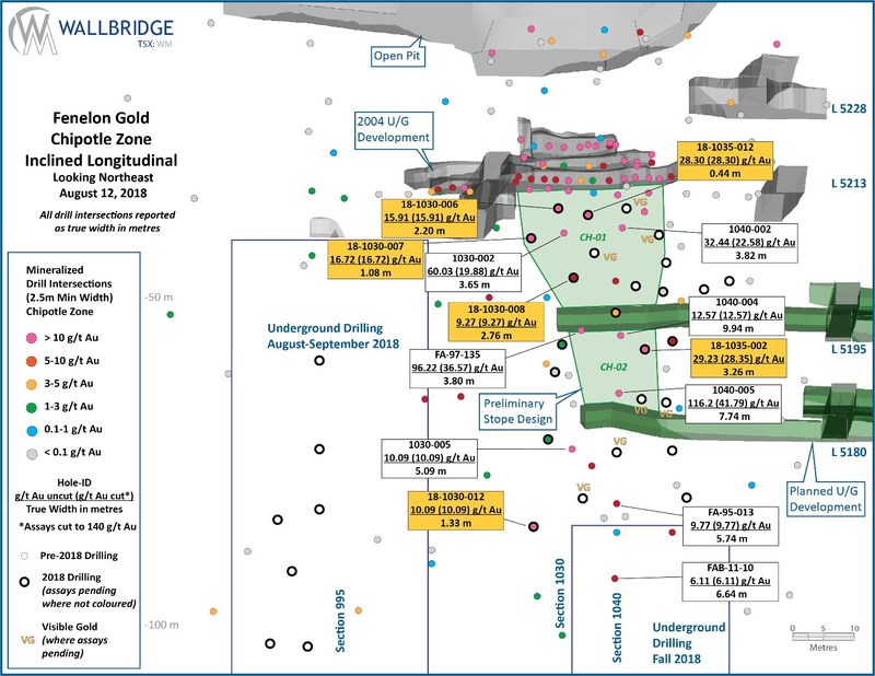 Figure 3: Fenelon Gold, Chipotle Zone Inclined Longitudinal (CNW Group/Wallbridge Mining Company Limited)