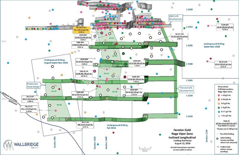 Figure 4:  Fenelon Gold, Naga Viper Zone Inclined Longitudinal (CNW Group/Wallbridge Mining Company Limited)