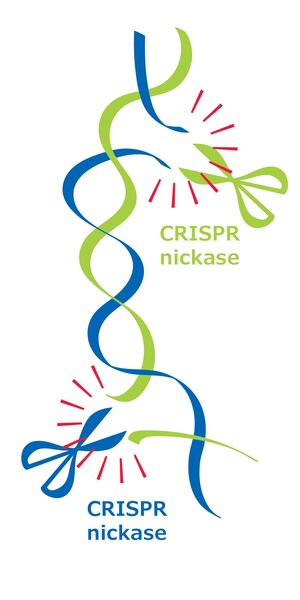 A Merck recebe a patente australiana CRISPR nickase pela tecnologia de edição de genoma de base