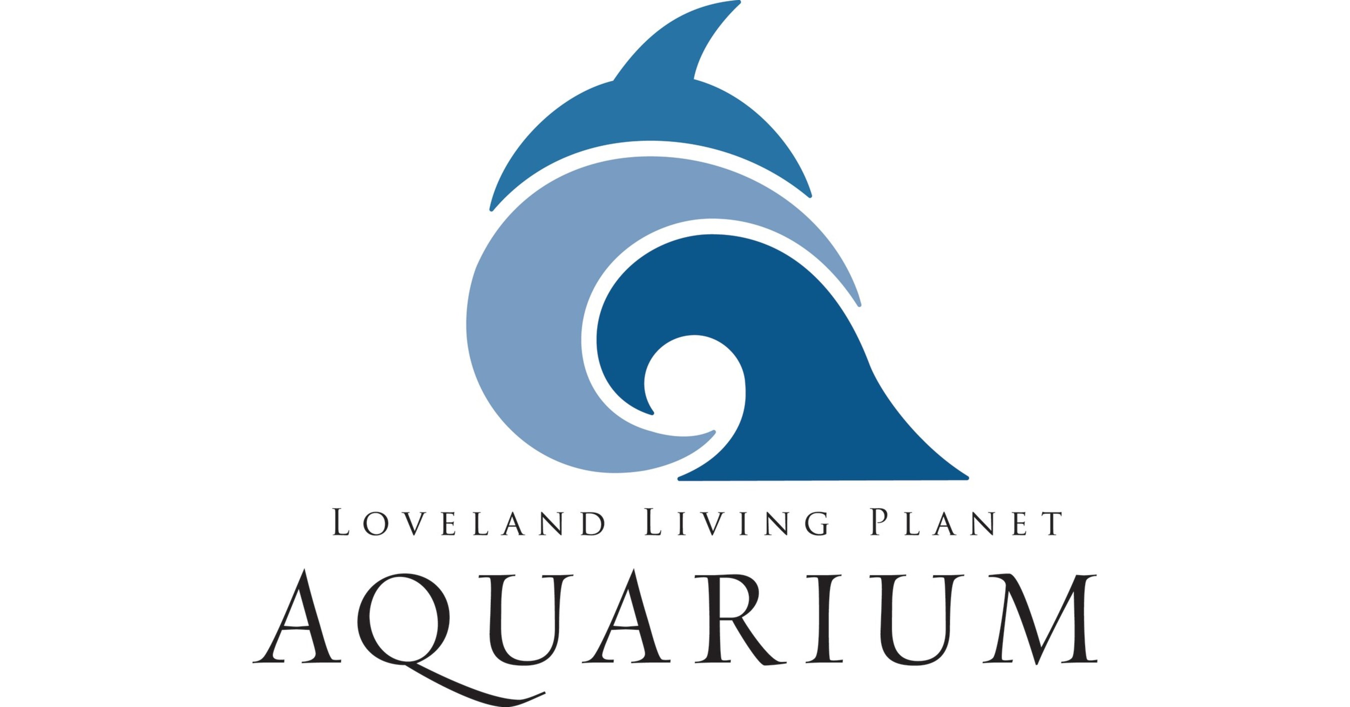 Loveland Living Planet Aquarium Penguins Focus of First Gentoo Penguin ...