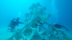World's Largest 3-D Printed Reef Installed at Summer Island Maldives