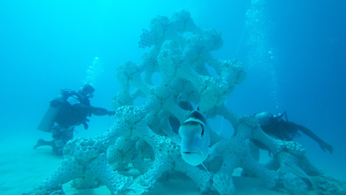 World's Largest 3-D Printed Reef (PRNewsfoto/Summer Island Maldives)