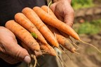 BASF closes acquisition of vegetable seeds business from Bayer