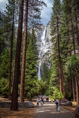 Yosemite National Park. Photo Credit-Kim Carroll
