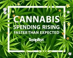 In the Cannabis Market, Big Spenders Plan to Be Bigger Spenders
