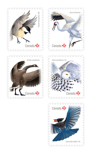 Birds of Canada stamp series ends with homage to plumage