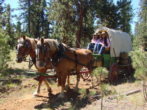 Wagons Ho! Take a Lyft on the Travel Oregon Trail