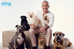 Famed 'Dog Whisperer' Cesar Millan curates TV for dogs for National Dog Day on Sling TV