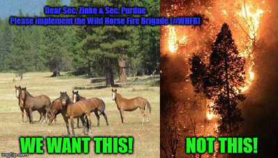 Wild Horse Fire Brigade is a novel plan to re-wild native species (grazers) into and around carefully selected wilderness and forest areas to abate wildfire fuels of grass and brush, saving Americans $-billions of dollars annually.