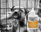 Pet King Brands Donates $240,000 of ZYMOX Ear Products to Help 12,000 Pets in Need