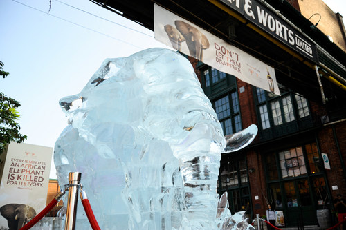 Melting Life-Size Elephant Ice Sculpture Symbolized Disappearing Elephant Population (CNW Group/Amarula Cream)