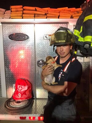24,000 Pet Oxygen Masks Given and Counting