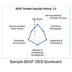 SEAF Launches Gender Equality Scorecard©