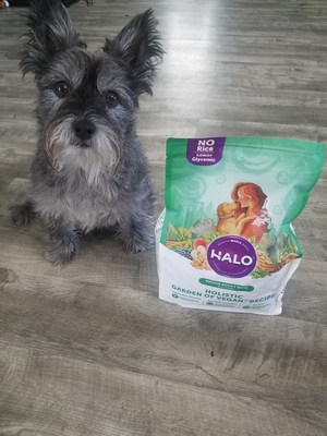 Halo® Holistic Garden of Vegan® for dogs jumped in front of the pack with two announcements this week – Halo was nominated for the 2018 VegNews Veggie Awards, and the brand launched a #VegPledge social media campaign for dog parents wanting to lower their carbon paw prints.