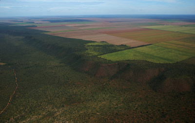 Native Cerrado bordering agricultural land_credit Gabriel Daldegan-TNC