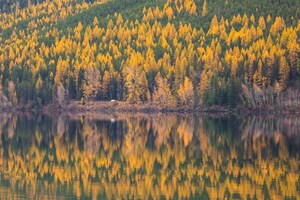 The Way to Montana's Autumn Wonders