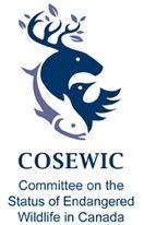 Logo: Committee on the Status of Endangered Wildlife in Canada (COSEWIC) (CNW Group/Committee on the Status of Endangered Wildlife in Canada)