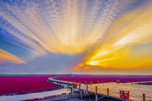 Olympic champions gave Red Beach thumb up for its beautiful wetlands