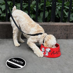 New York's Dogs-About-Town are Panting to Sip and Slurp from Rob Pruitt x Snoopy Works of Art!