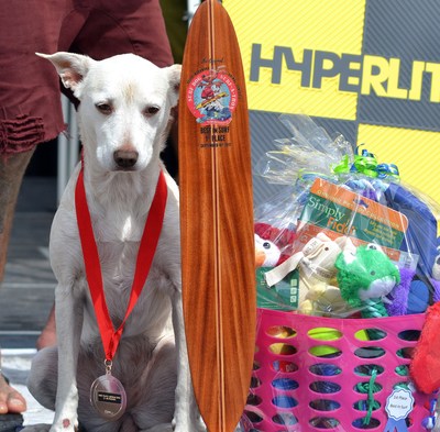 Best in Surf Winner Sugar - Helen Woodward Animal Center's 13th Annual Surf Dog Surf-a-Thon, presented by Blue Buffalo, Sunday, September 9th, 2018.