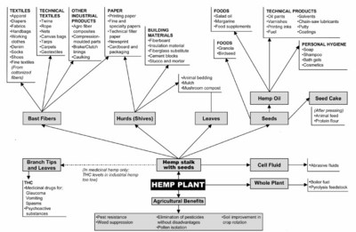 GrowGeneration: Hemp Plant Uses Diagram (CNW Group/GrowGeneration)