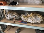 New Discovery Yields 9,000 ounces of High Grade Coarse Gold from Single Cut at Beta Hunt Mine