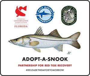 Florida Conservation Organizations Partner To Support The Recovery Of West Coast Snook Populations Following Red Tide Event