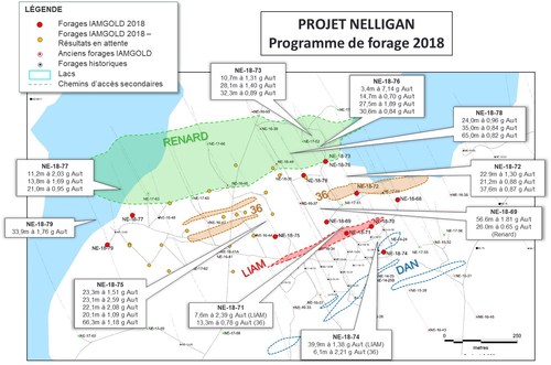 Figure 1 : Vue de plan des forages à Nelligan et des résultats d'analyse de 2018 (Groupe CNW/IAMGOLD Corporation)