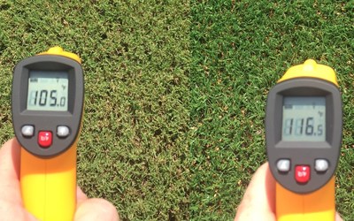 UNCW turf temperature comparison with natural grass on left and Greenplay with synthetic turf on right