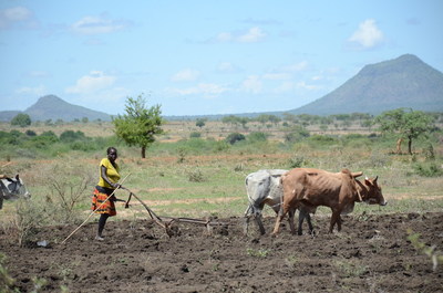 Une femme prpare son jardin en prvision de l'ensemencement, dans un village du district de  Nakapiripirit, en Ouganda.  UNICEF/UN075828/Adriko (Groupe CNW/UNICEF Canada)