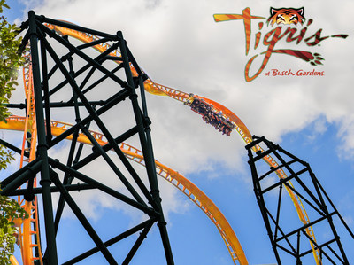 Get ready to take on Tigris Florida's tallest launch coaster, opening at Busch Gardens Tampa Bay spring 2019. Tigris features an exhilarating triple launch with forward and backward motion, catapulting riders through looping twists, daring drops, a 150-foot skyward surge, and an inverted heartline roll ? all at more than 60 miles per hour.