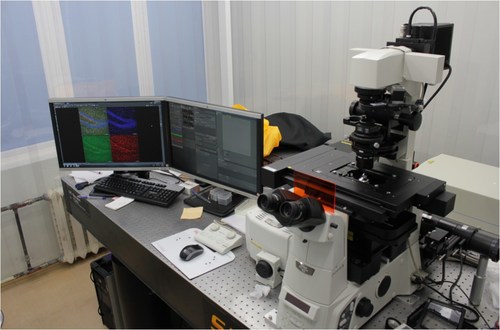 Intravital microscope (Pirogov Russian National Research Medical University (RNRMU)