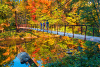 Vibrant Fall Foliage, Seasonal Experiences Set to Wow Connecticut Visitors This Autumn
