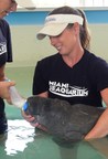 Miami Seaquarium Achieves American Humane Conservation Certification