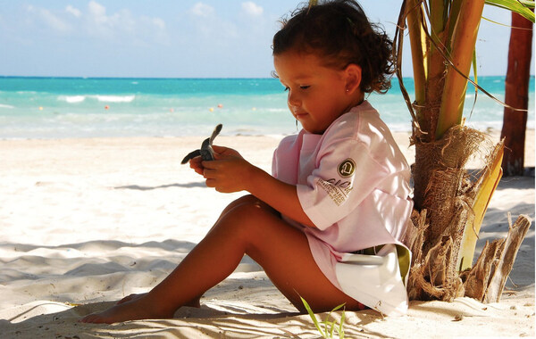 Sea Turtle Conservation By El Cid Resortsww