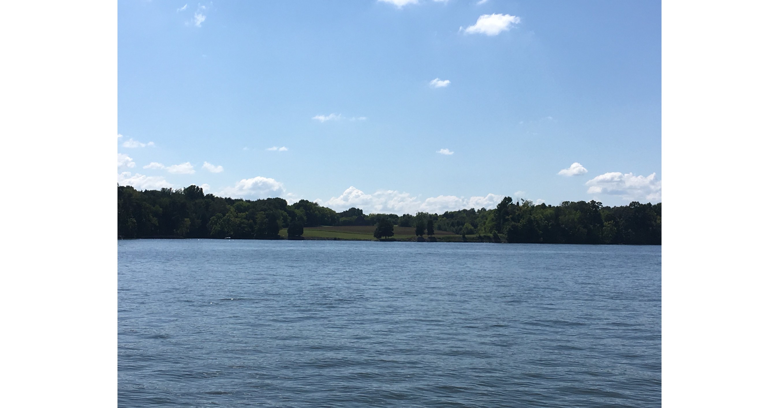 13 Dockable Lots on Kentucky Lake/TN River to be sold off