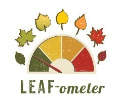 As Autumn Approaches, Visitors Can Catch the Colors With Flagstaff's LEAF-ometer