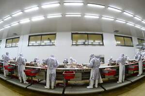 New Discoveries on a New Journey for Kerchin Cattle Industry