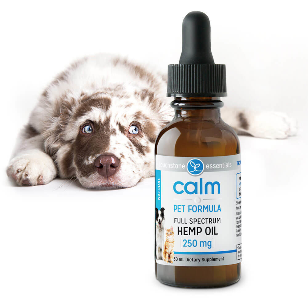 Touchstone Essentials Launches Organically Grown Full Spectrum CBD-Rich Hemp Oil for Dogs and Cats
