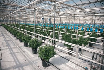 La capacit de production de Canopy Growth augmente grce  l'octroi de nouvelles licences concernant l'expansion de Tweed Farms (Groupe CNW/Canopy Growth Corporation)