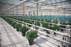 La capacité de production de Canopy Growth augmente grâce à l'octroi de nouvelles licences concernant l'expansion de Tweed Farms
