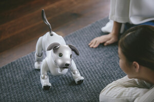 Sony's Limited First Litter Edition aibo is Now Available for Purchase in U.S.