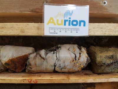 Coarse visible gold in drillhole AM18042; Note mineralization may not be representative across the whole property (CNW Group/Aurion Resources Ltd.)