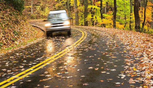 Get The Best Car Insurance For This Fall