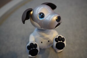 Help Sony Square NYC Name Its aibo Puppies!