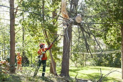 Hydro One worker restoring power (CNW Group/Hydro One Inc.)