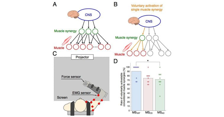 University of Electro-Communications eBulletin: Elucidating Mechanisms ...