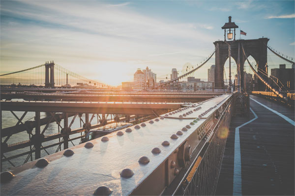 Wildex Investment Calls for Greater Portfolio Resilience Heading Towards and into 2019